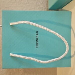 Tiffany & Co small bag with box and jewelry bag